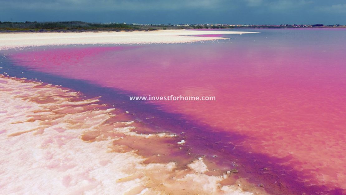 Försäljning - Lägenhet - Orihuela Costa - Costa Blanca