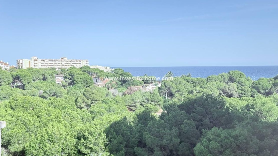 Försäljning - Lägenhet - Orihuela Costa - Dehesa De Campoamor