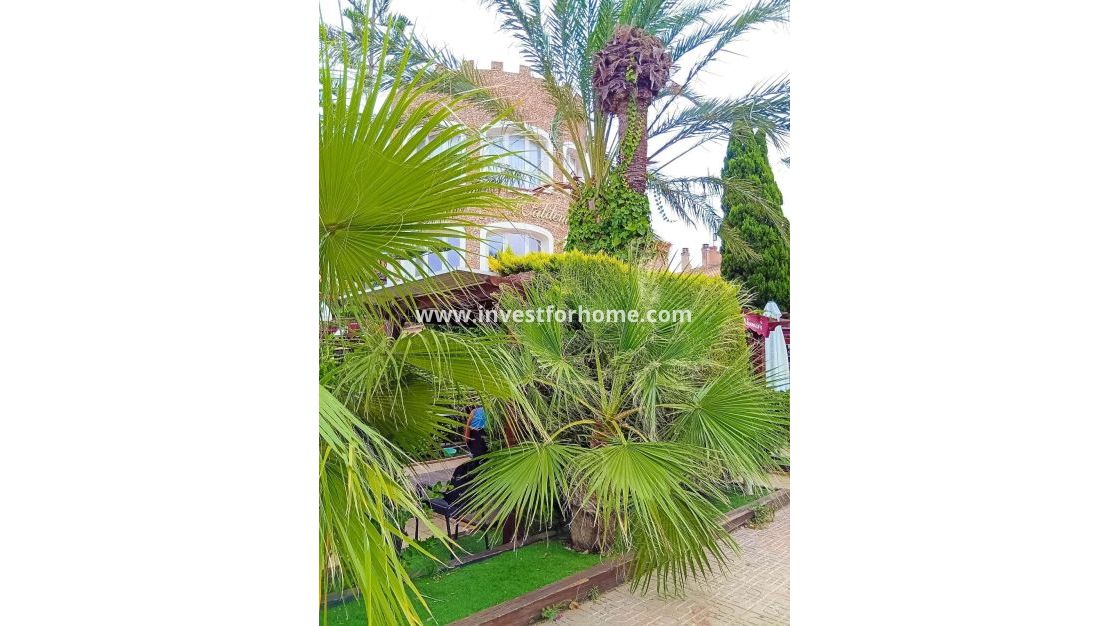 Försäljning - Lägenhet - Orihuela Costa - Playa Flamenca