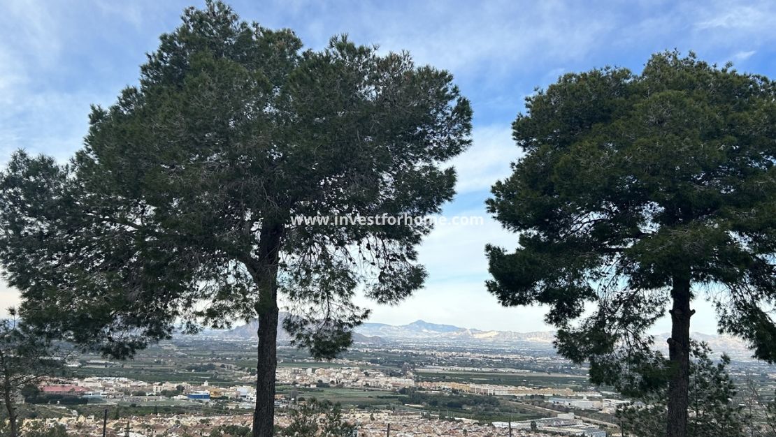 Försäljning - Lägenhet - Rojales - Costa Blanca