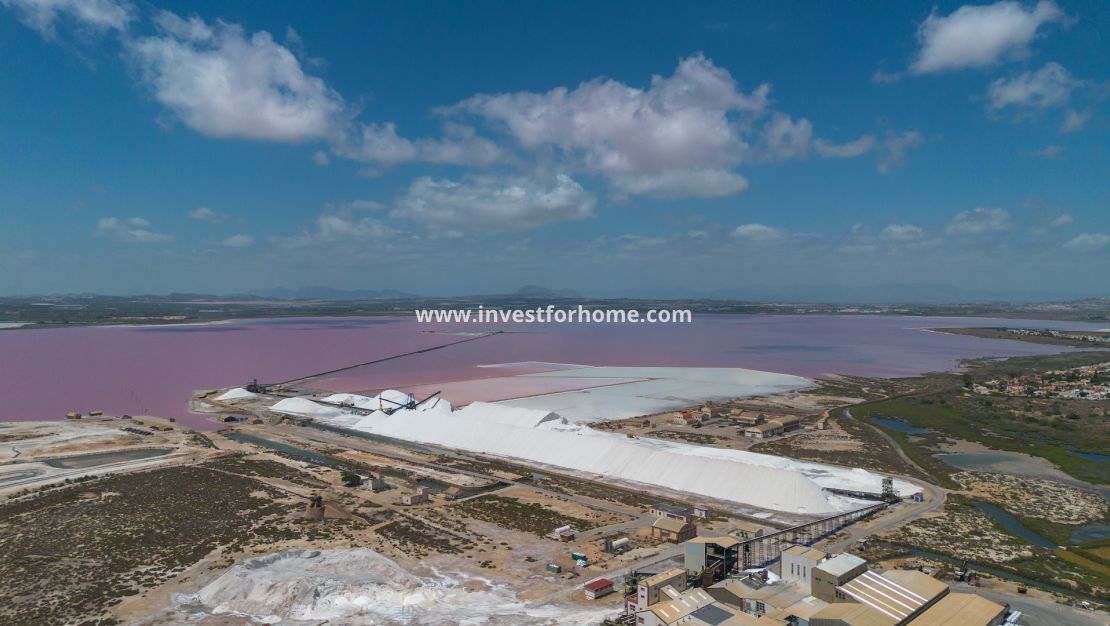 Försäljning - Lägenhet - San Miguel de Salinas - Inland