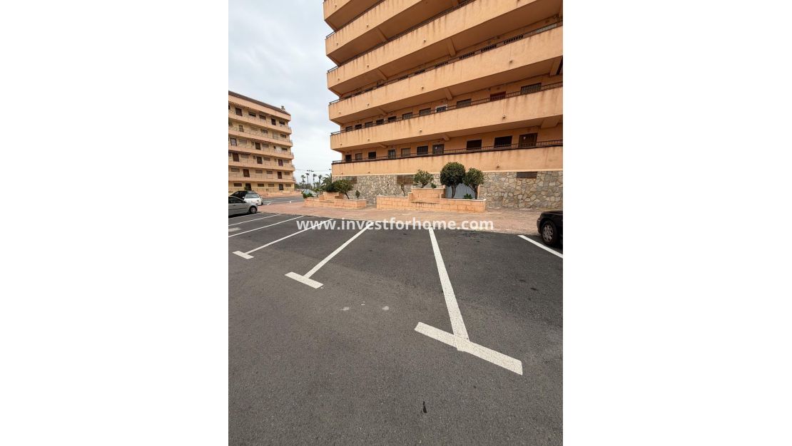 Försäljning - Lägenhet - Torrevieja - Cabo Cervera