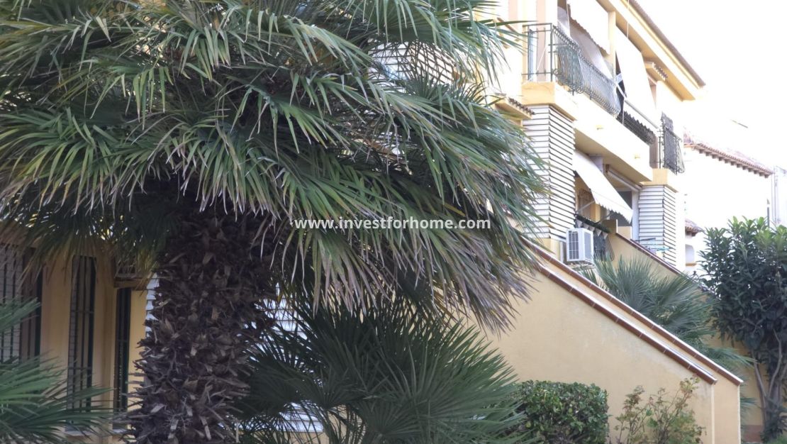 Försäljning - Lägenhet - Torrevieja - Cala Ferris