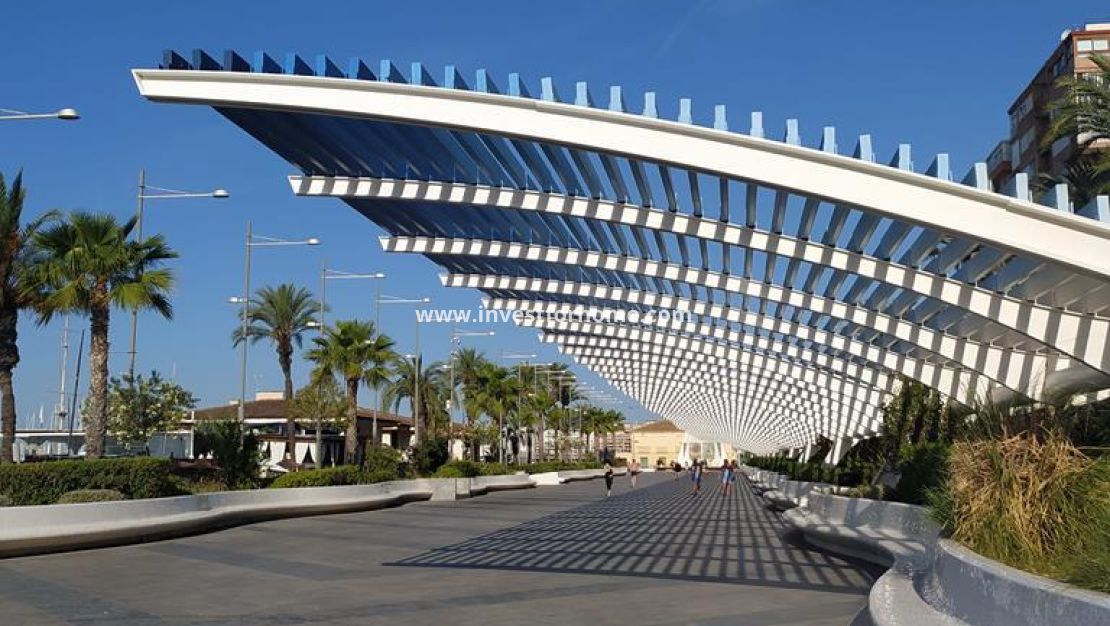 Försäljning - Lägenhet - Torrevieja - CENTRO CASCO URBANO