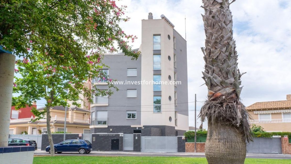 Försäljning - Lägenhet - Torrevieja - Centro