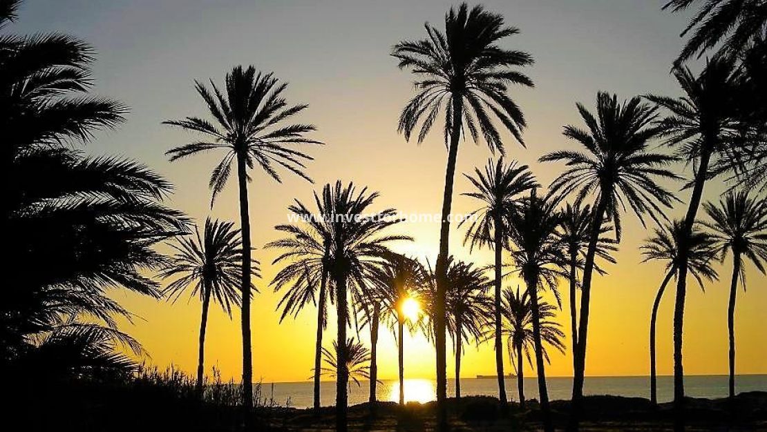 Försäljning - Lägenhet - Torrevieja - Centro