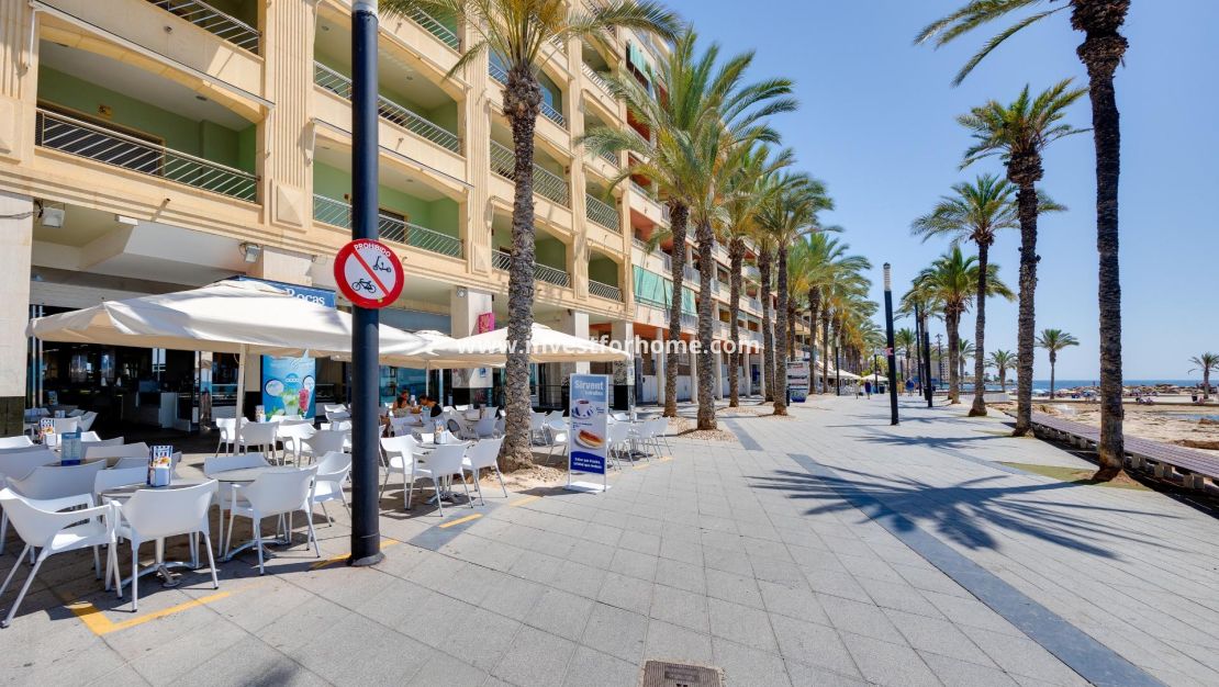 Försäljning - Lägenhet - Torrevieja - Centro