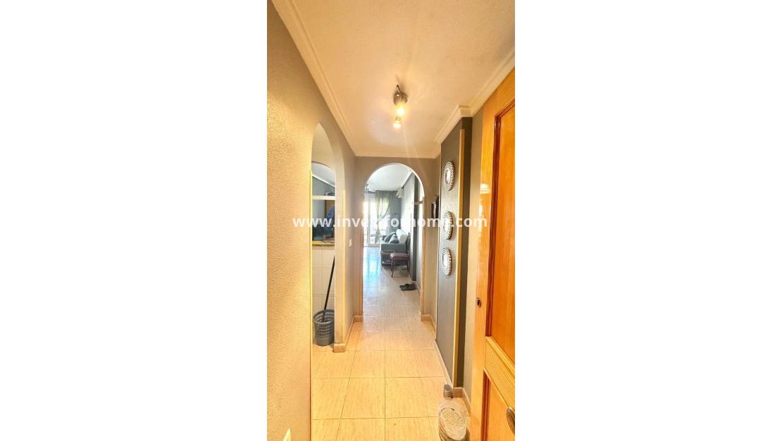 Försäljning - Lägenhet - Torrevieja - Centro