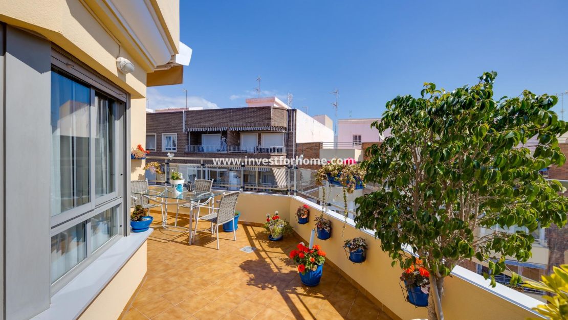 Försäljning - Lägenhet - Torrevieja - Centro