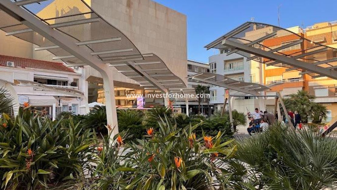 Försäljning - Lägenhet - Torrevieja - Centro