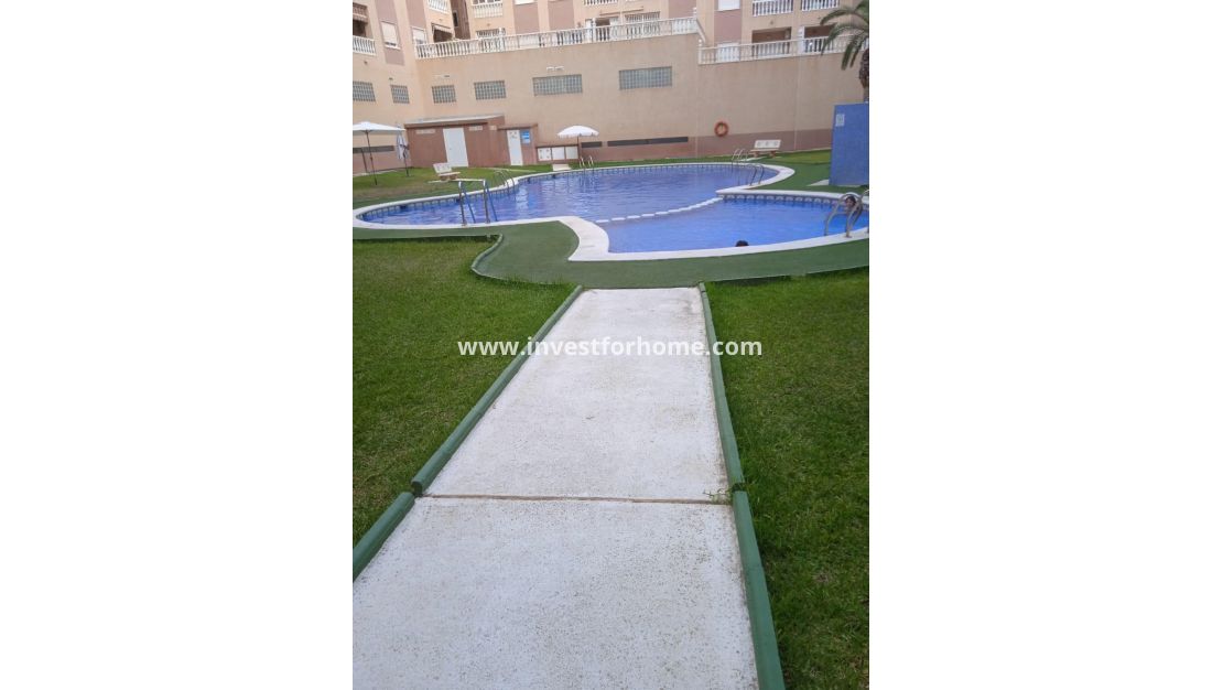 Försäljning - Lägenhet - Torrevieja - Centro