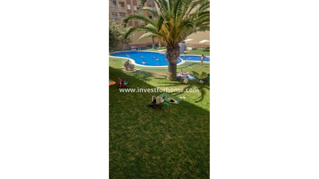 Försäljning - Lägenhet - Torrevieja - Centro