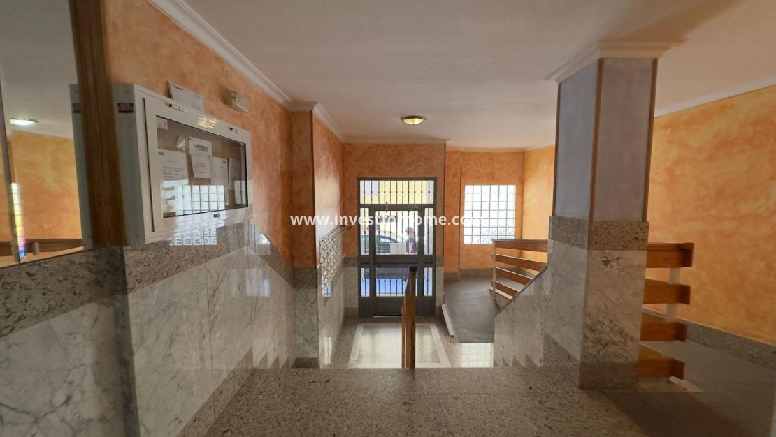 Försäljning - Lägenhet - Torrevieja - Centro