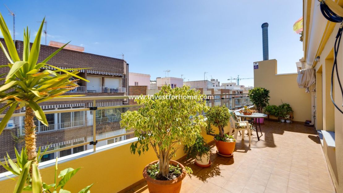 Försäljning - Lägenhet - Torrevieja - Centro