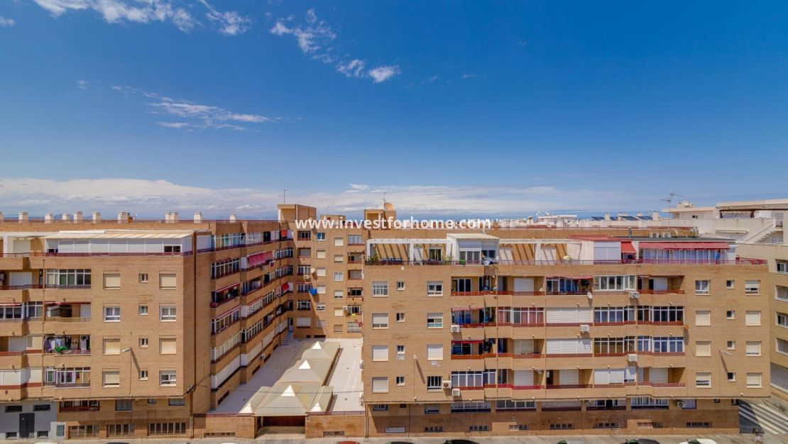 Försäljning - Lägenhet - Torrevieja - Centro