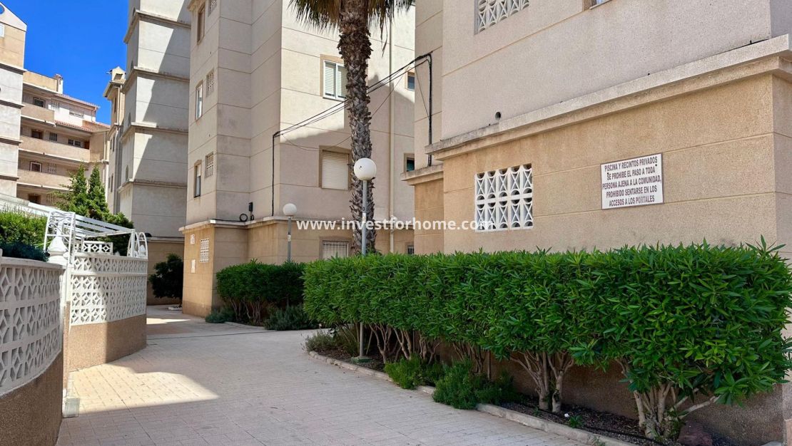 Försäljning - Lägenhet - Torrevieja - Centro