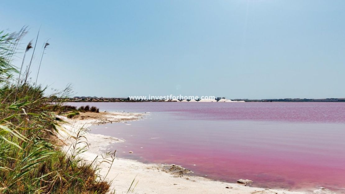 Försäljning - Lägenhet - Torrevieja - Costa Blanca