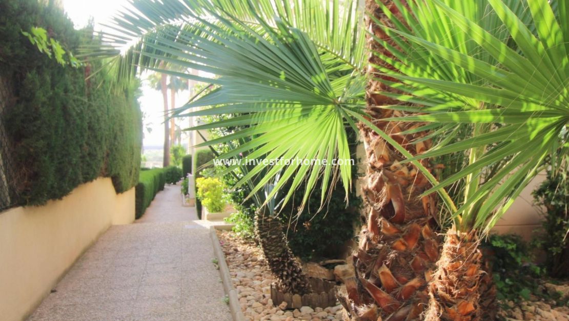 Försäljning - Lägenhet - Torrevieja - Costa Blanca