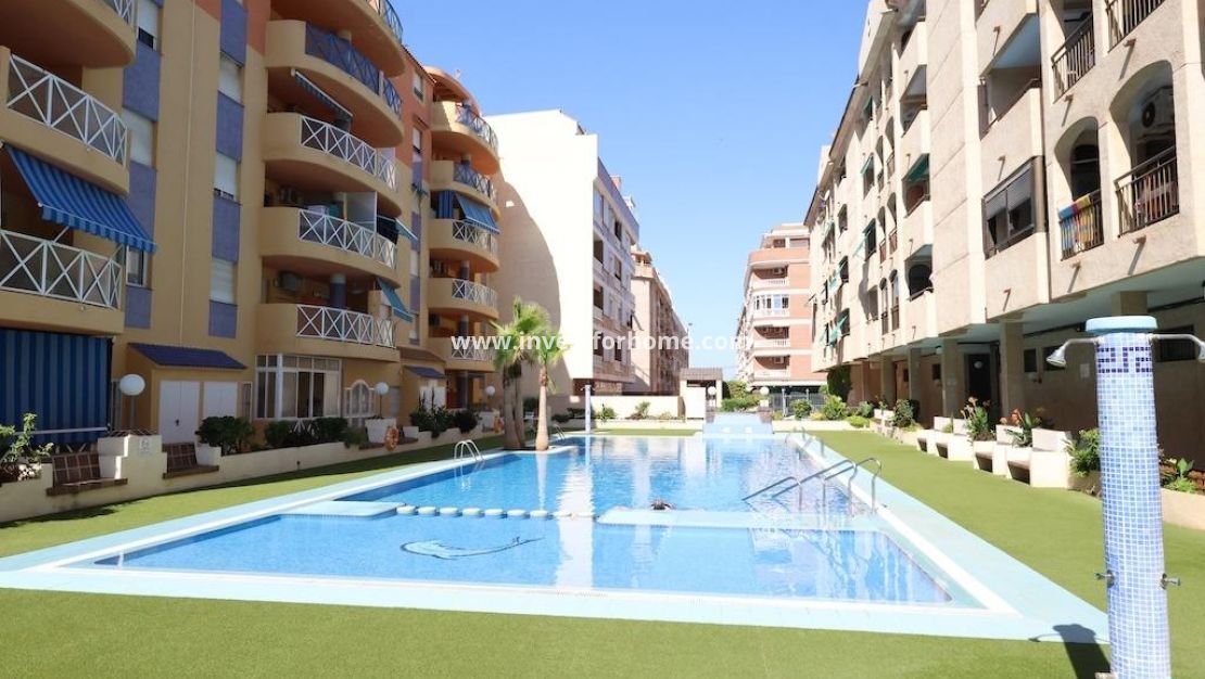 Försäljning - Lägenhet - Torrevieja - Costa Blanca