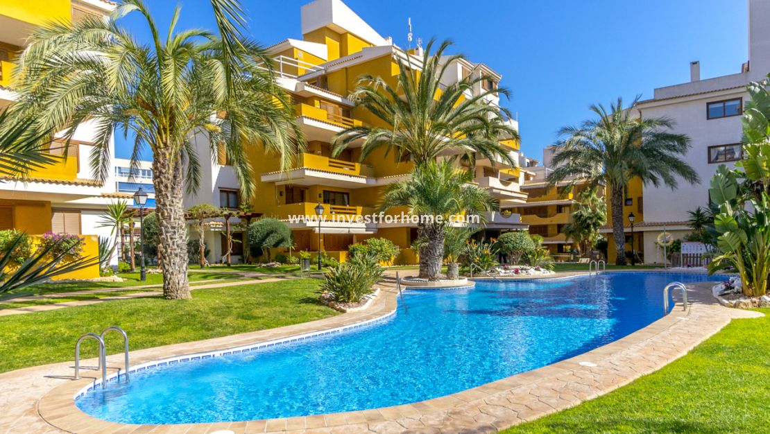 Försäljning - Lägenhet - Torrevieja - Costa Blanca