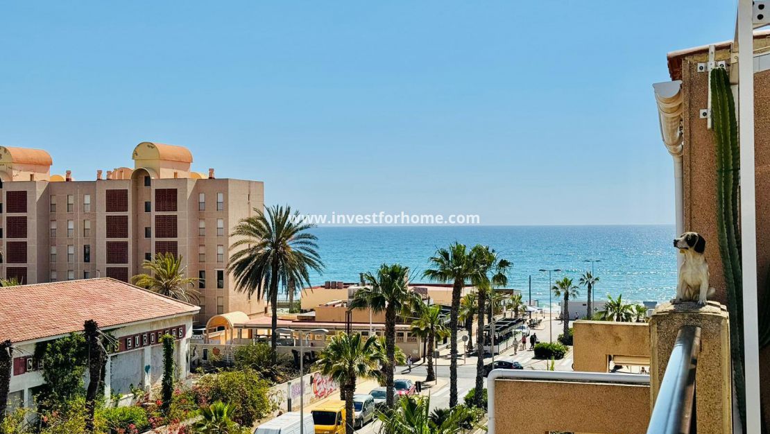 Försäljning - Lägenhet - Torrevieja - Costa Blanca