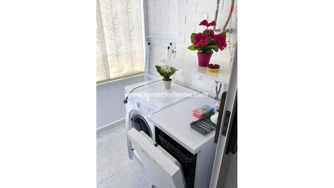 Försäljning - Lägenhet - Torrevieja - El Molino
