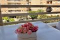 Försäljning - Lägenhet - Torrevieja - El Molino