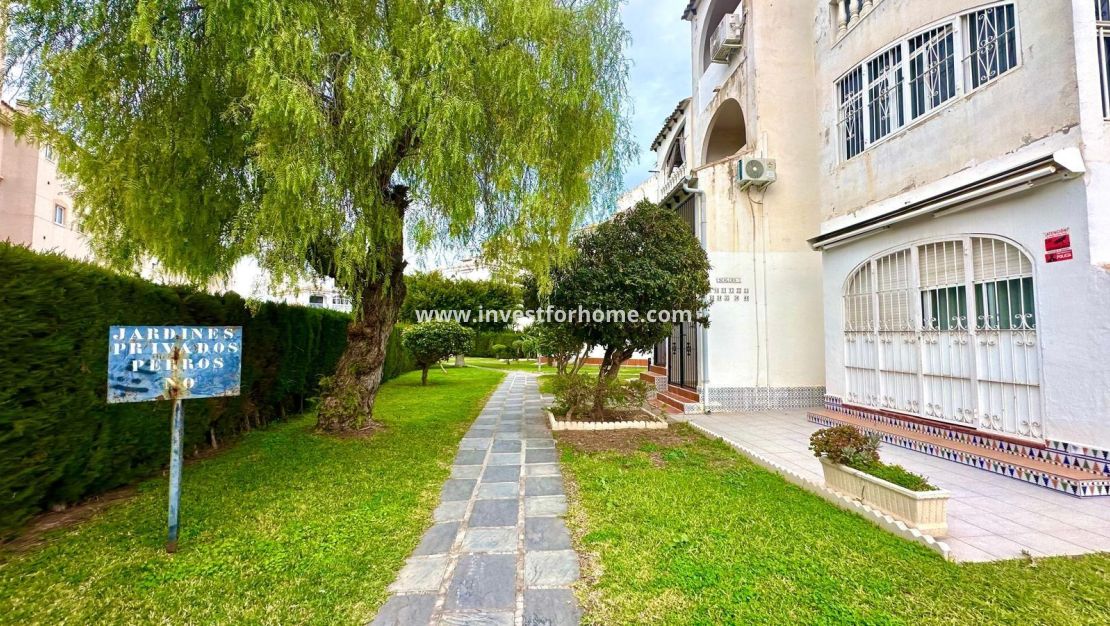 Försäljning - Lägenhet - Torrevieja - Estacion De Autobuses