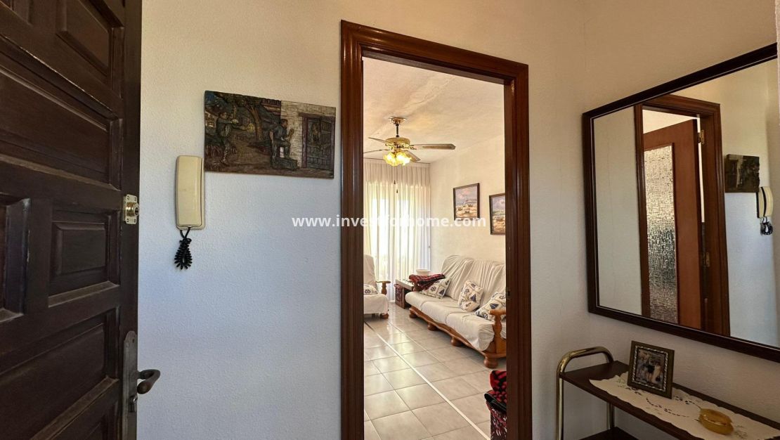 Försäljning - Lägenhet - Torrevieja - Estacion De Autobuses