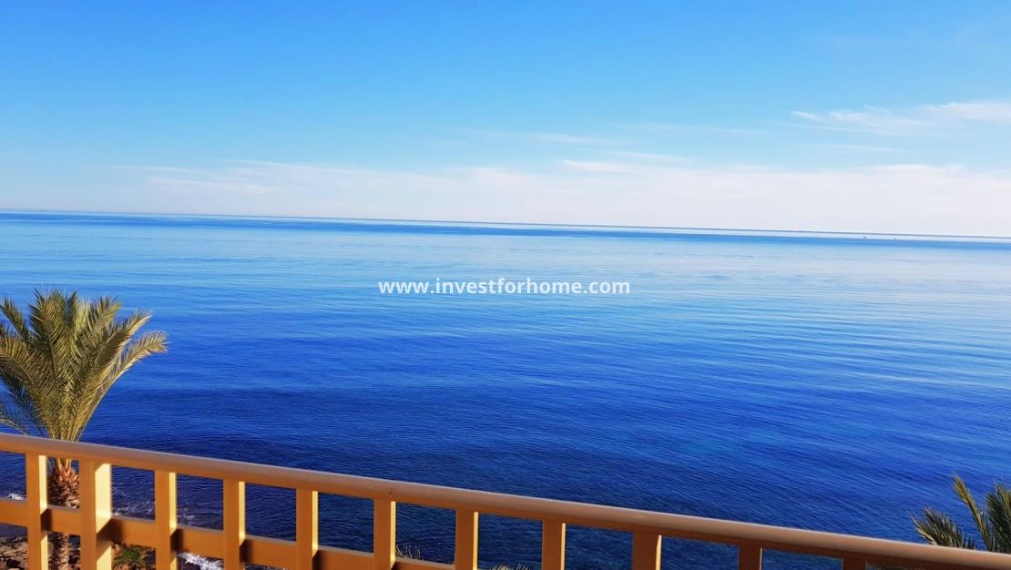 Försäljning - Lägenhet - Torrevieja - Estacion De Autobuses