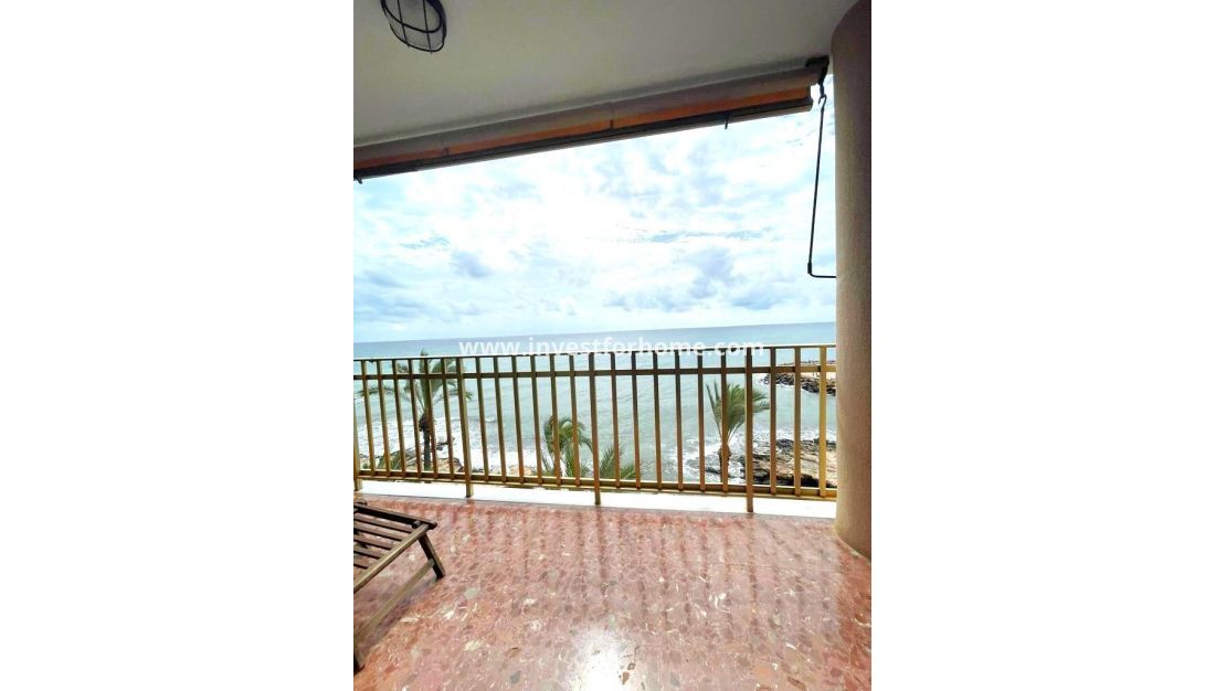 Försäljning - Lägenhet - Torrevieja - Estacion De Autobuses