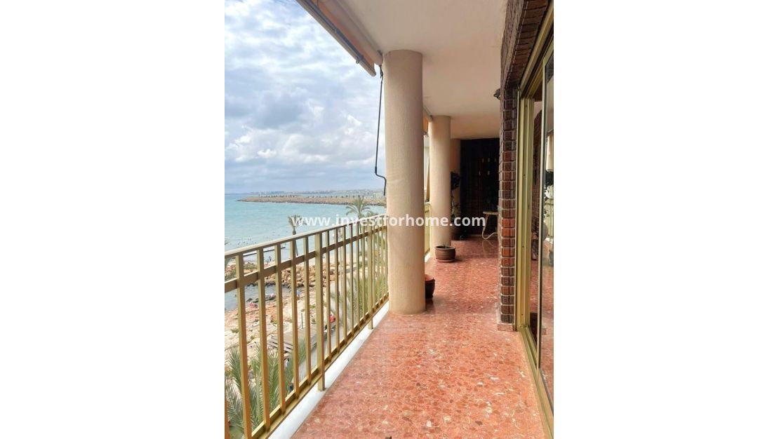 Försäljning - Lägenhet - Torrevieja - Estacion De Autobuses