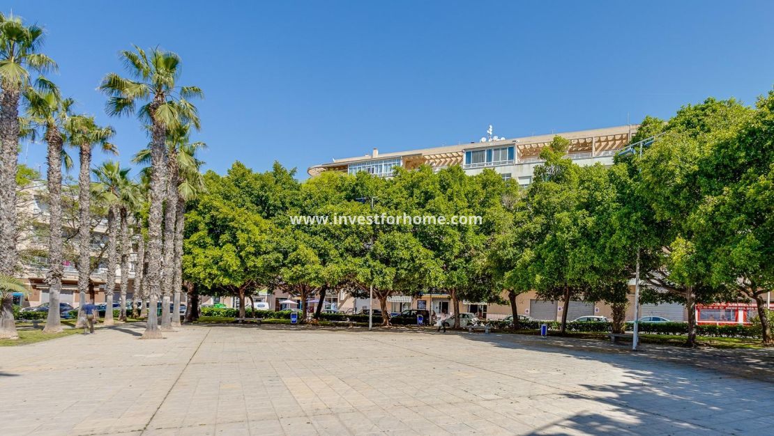 Försäljning - Lägenhet - Torrevieja - Estacion De Autobuses