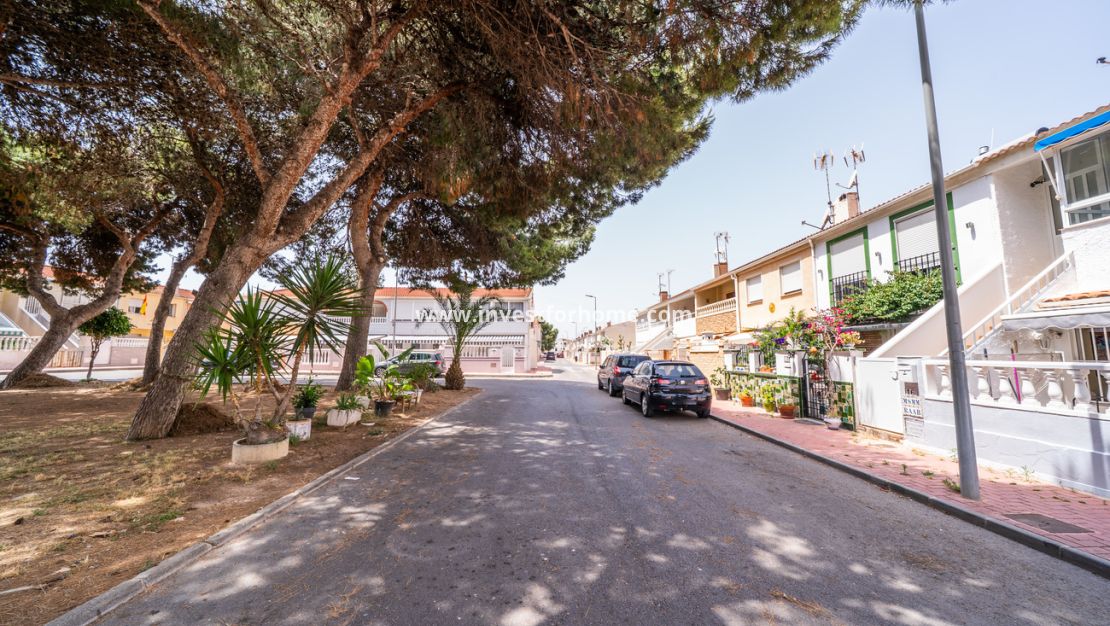 Försäljning - Lägenhet - Torrevieja - La Veleta