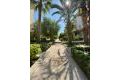 Försäljning - Lägenhet - Torrevieja - La veleta