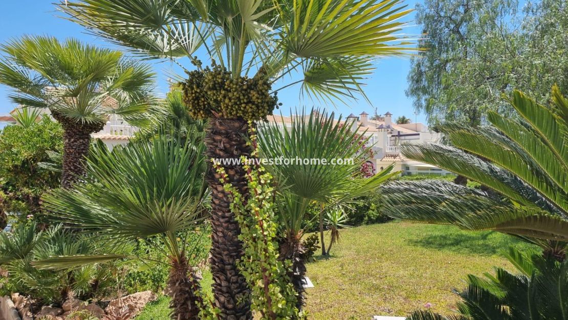Försäljning - Lägenhet - Torrevieja - Los Balcones - Los Altos Del Edén