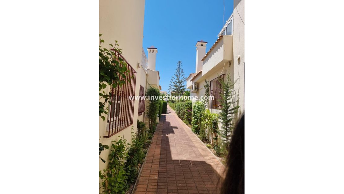 Försäljning - Lägenhet - Torrevieja - Los Balcones - Los Altos Del Edén