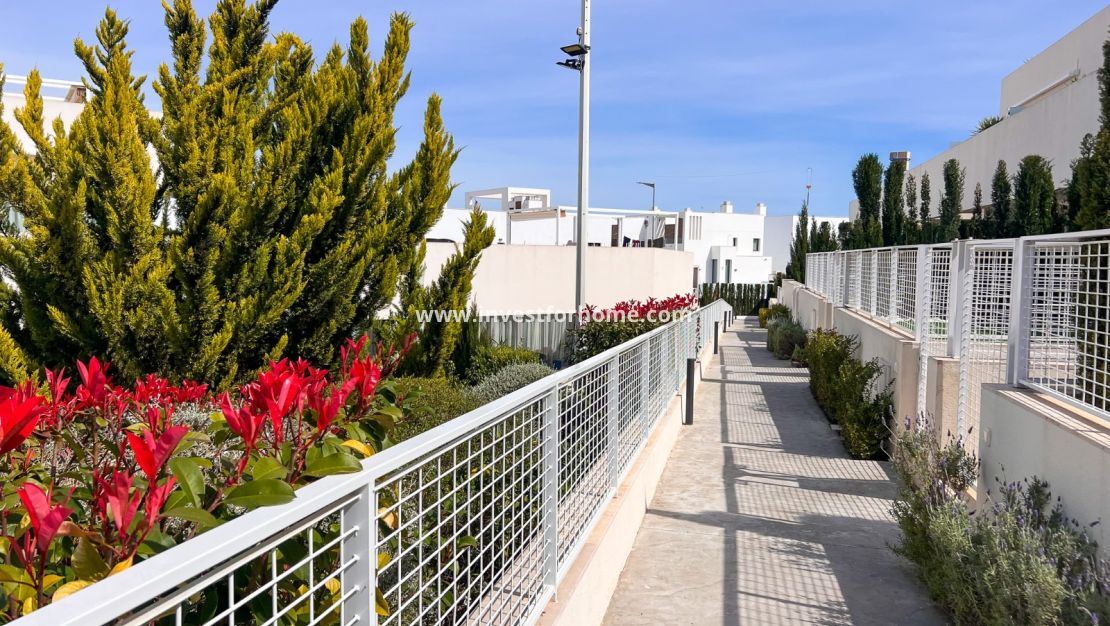 Försäljning - Lägenhet - Torrevieja - Los Balcones
