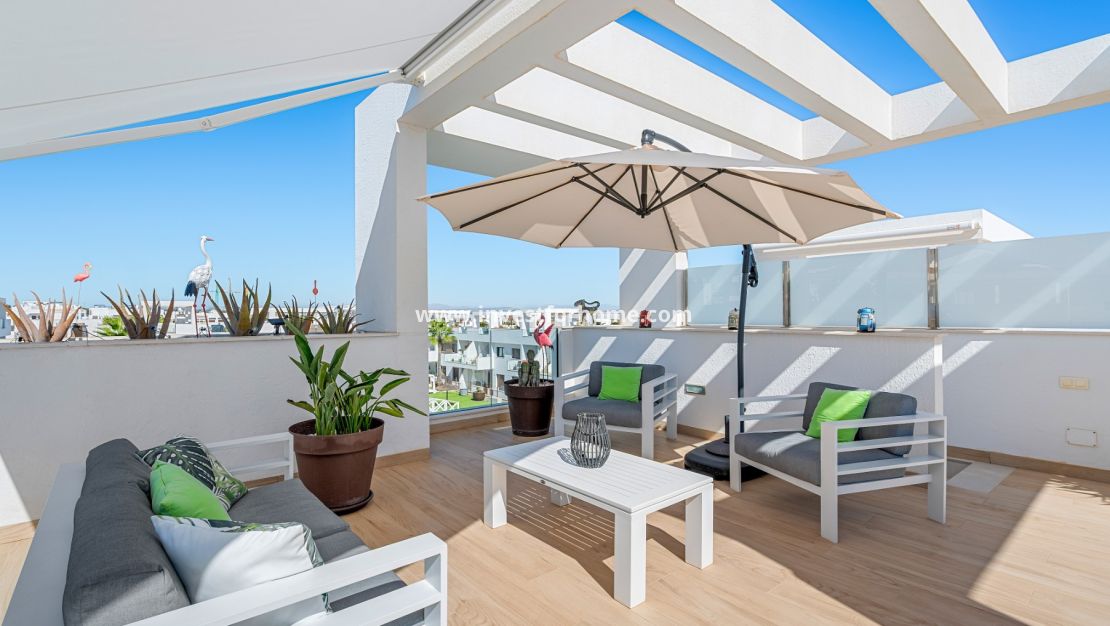 Försäljning - Lägenhet - Torrevieja - Los Balcones