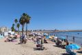 Försäljning - Lägenhet - Torrevieja - LOS NAUFRAGOS PLAYA