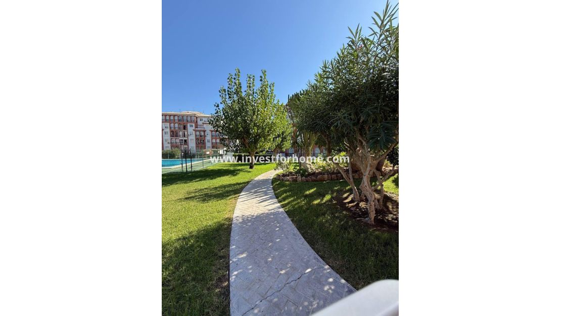 Försäljning - Lägenhet - Torrevieja - Nueva Torrevieja - Aguas Nuevas