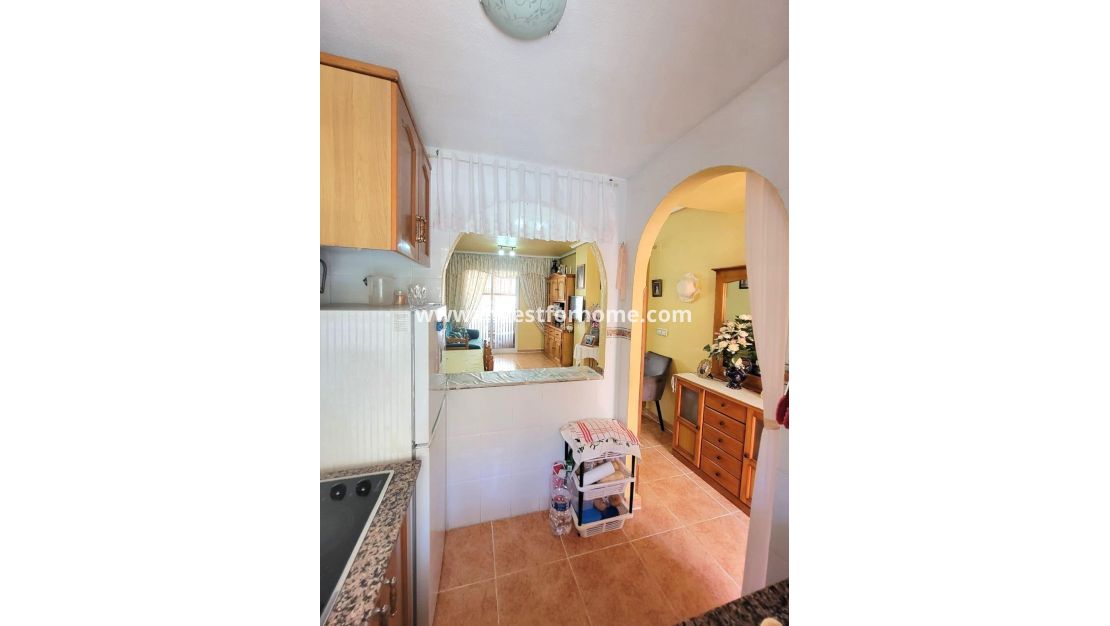 Försäljning - Lägenhet - Torrevieja - Nueva Torrevieja - Aguas Nuevas