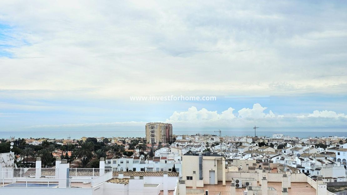 Försäljning - Lägenhet - Torrevieja - Nueva Torrevieja - Aguas Nuevas