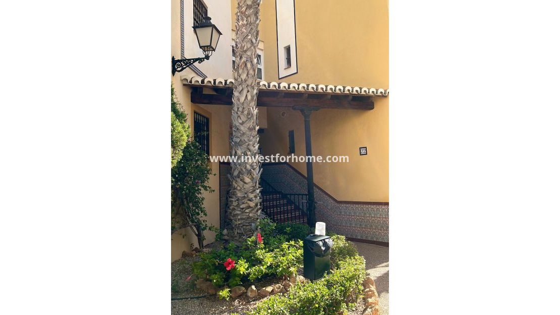 Försäljning - Lägenhet - Torrevieja - Nueva Torrevieja - Aguas Nuevas