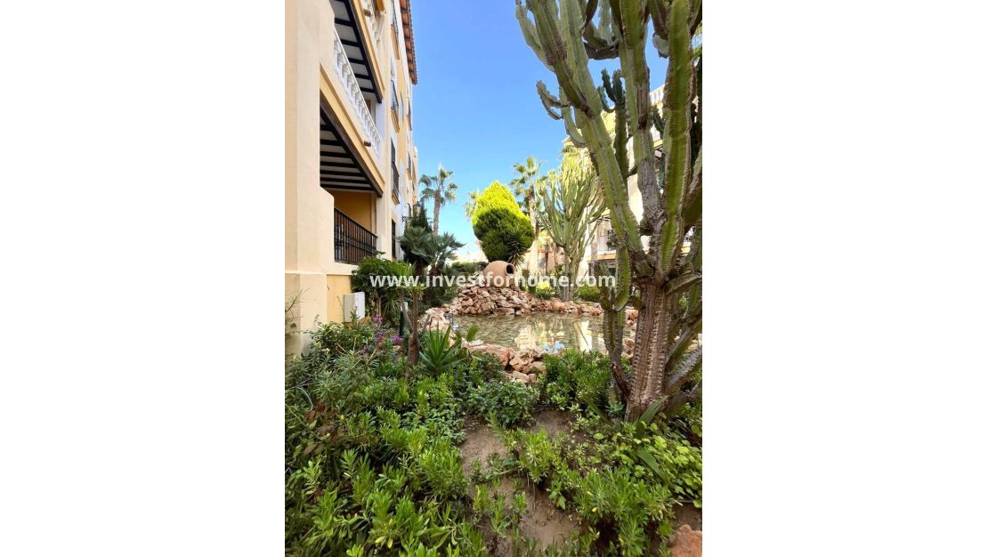 Försäljning - Lägenhet - Torrevieja - Nueva Torrevieja - Aguas Nuevas