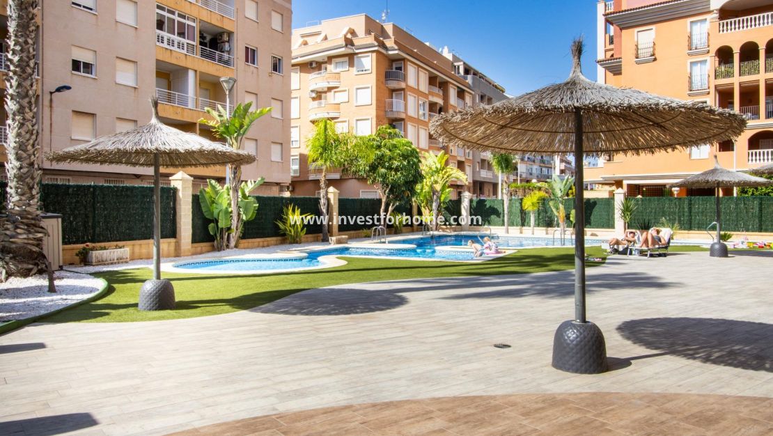 Försäljning - Lägenhet - Torrevieja - Nueva Torrevieja - Aguas Nuevas