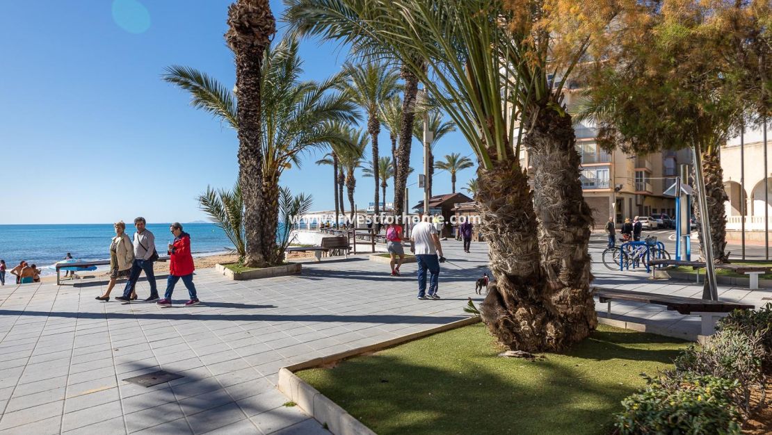 Försäljning - Lägenhet - Torrevieja - Playa del Cura