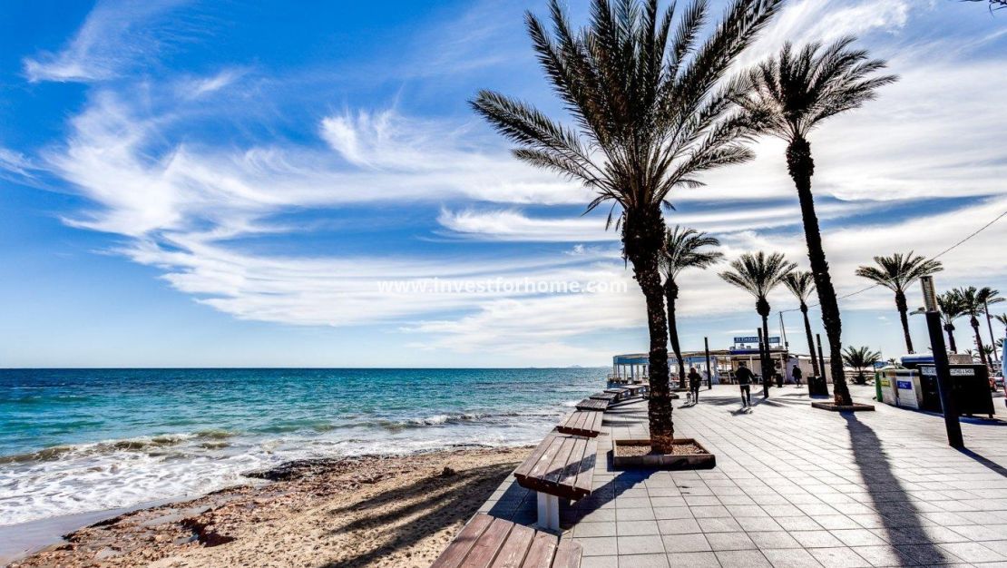 Försäljning - Lägenhet - Torrevieja - Playa del Cura