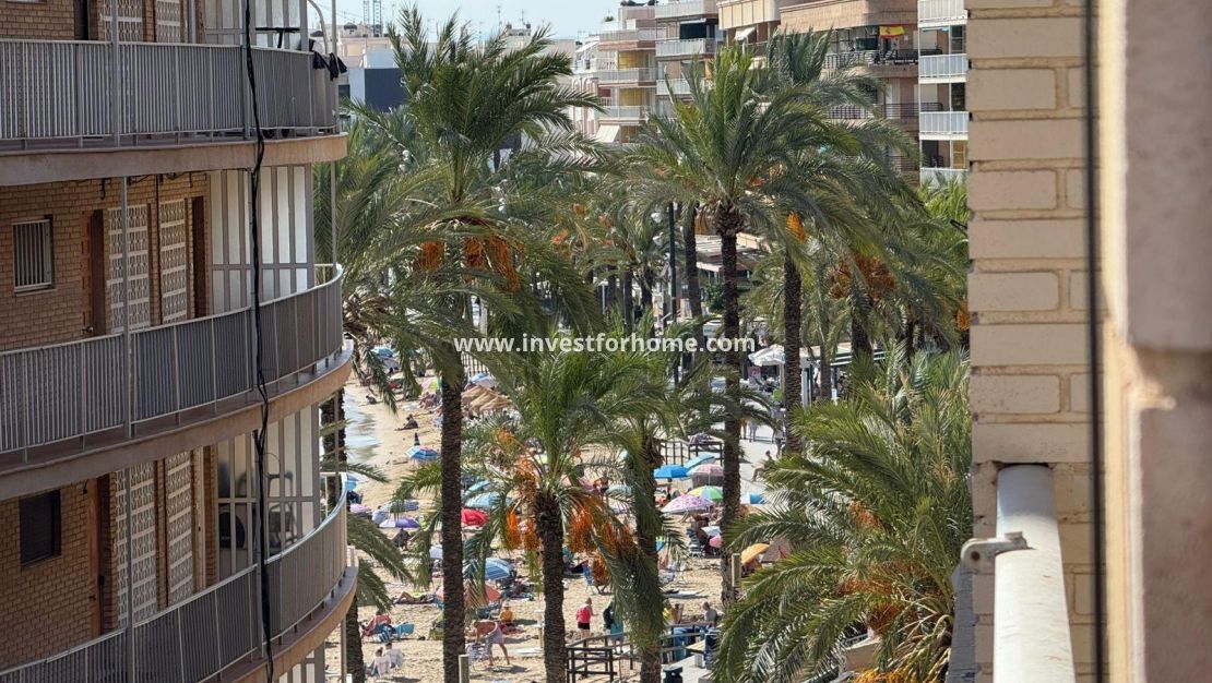 Försäljning - Lägenhet - Torrevieja - Playa del Cura