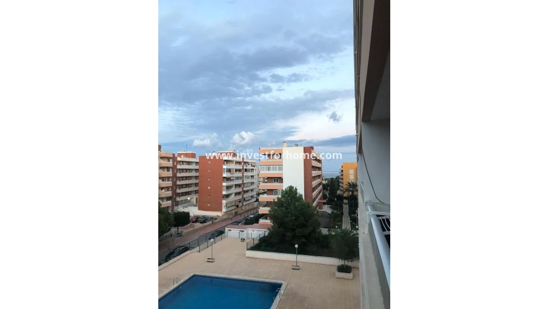 Försäljning - Lägenhet - Torrevieja - Punta prima